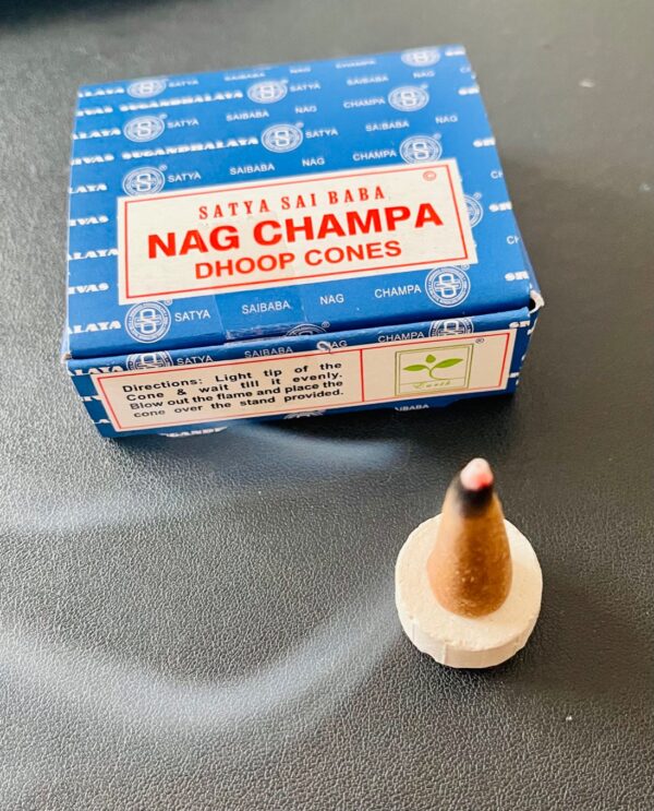 Encens cônes Satya Nag Champa