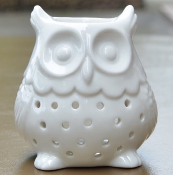 diffuseur huile essentielle hibou