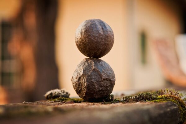 boule de moquis