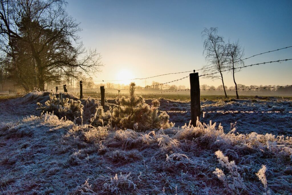yule