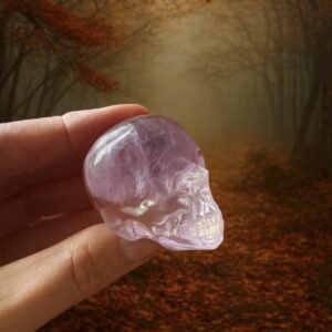 crane resine et amethyste