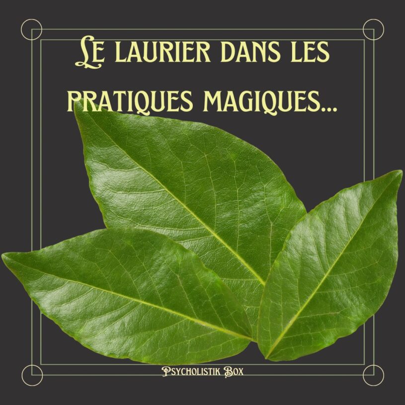 le laurier