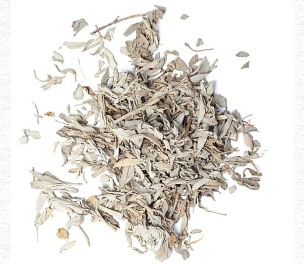 sauge blanche de fumigation